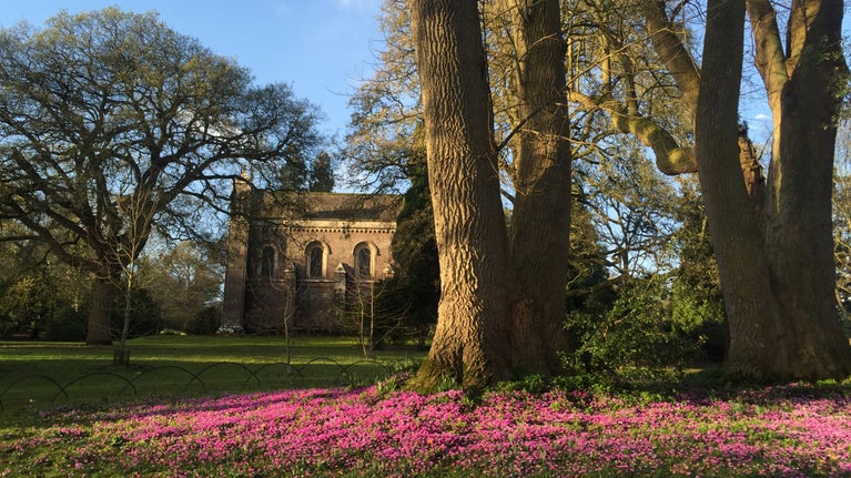Killerton Victorian chapel with a display of cyclamen flowers